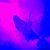 Albert Freeman's profile image