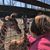 Shari Tamlin Breske's profile image