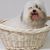 Dot Milligan's profile image