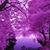 Janice Haskell's profile image