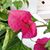 Donna Libby's profile image