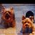 Sally Kuehn Mazzuca's profile image