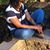 Golden Faith's profile image