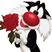 Lee Ann Hert's profile image