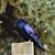 Christine Hajek's profile image