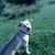 Muz Patterson's profile image
