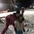 Brenda Balkema's profile image