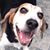 Lise Brennan's profile image