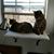 Liz Edwards's profile image