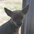 Stacy Noyes-Magnuson's profile image