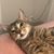 Evy Lemus's profile image
