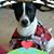 Rosemary Campbell Leggett's profile image
