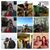 Carol Bristle's profile image