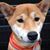 Patrick Fong's profile image