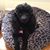 Carolyn Ussery Campbell's profile image