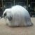 Annabelle Ward's profile image
