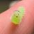 Eric Stewart's profile image