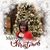 Lisa Knoth's profile image
