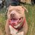 Theresa Hufnagel Goodwin's profile image