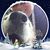Marian Miziorko's profile image
