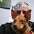 Omar Collazo Grau's profile image