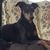 Terry N Jo-Ann Deitz's profile image