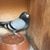 William Thornton's profile image