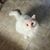 Donna Magaard's profile image