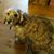 Debbie Palmer's profile image