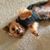 Susan Goldstein Hendley's profile image