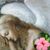 Barbara Mattesich Morin's profile image