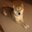 Kate Neschke's profile image