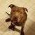 Michael Cray's profile image