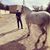 Ralph Barraza's profile image