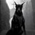 Aaron Piazzola's profile image