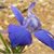 Terri Adams's profile image
