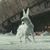 Kirin Arnold's profile image