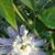 Jackie Wayne McGhee's profile image