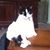 Cheryl Hinson's profile image