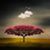 Stacey Garrido's profile image