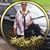 Teri Milan's profile image