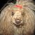 Lara Cox's profile image
