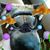 Gail Cogar's profile image