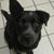 Susan Sams's profile image