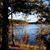 Deborah Caron's profile image