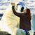 Jayanne Sindt's profile image