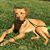 Katie Speed's profile image
