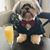 Ted D Bear's profile image