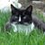 Diana Lee's profile image