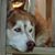 Roger Mayes's profile image